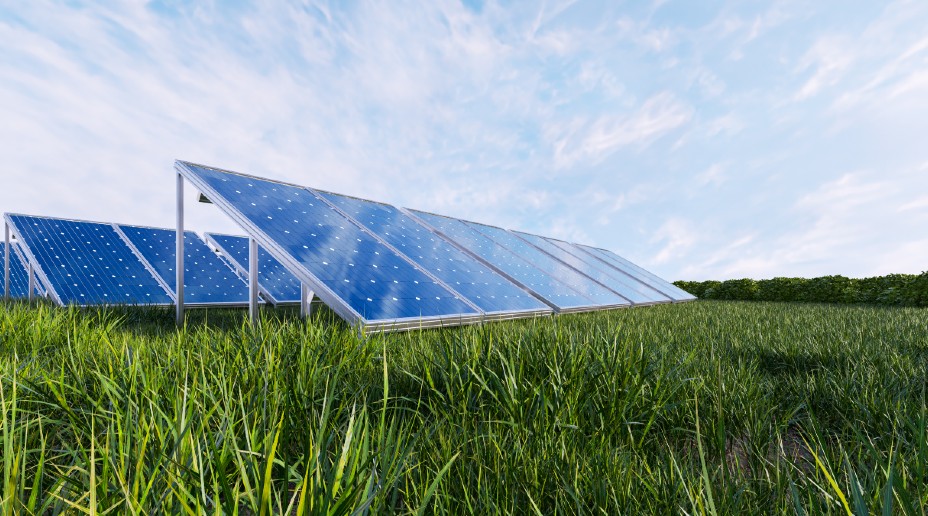 Solar panals in a field of grass