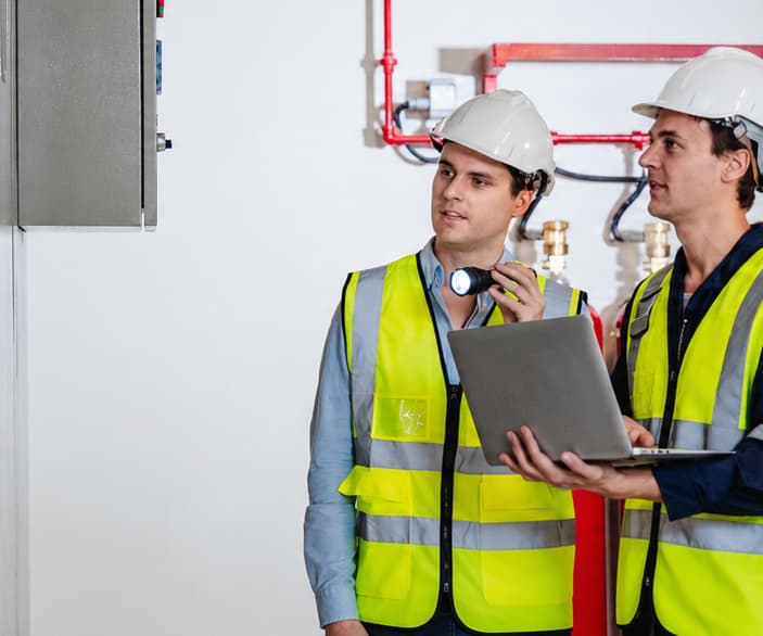 inspection by two individuals