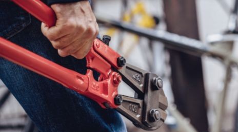 Five ways to reduce the risk of plant theft | Allianz Insurance