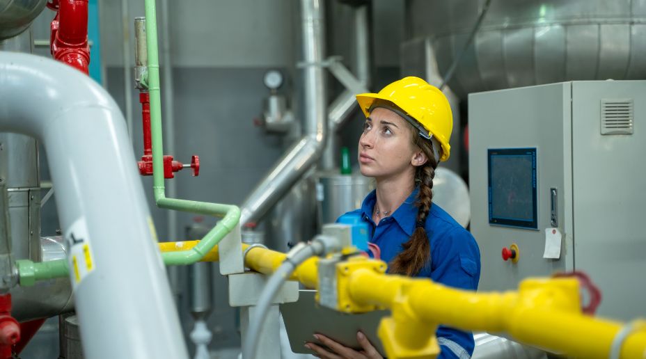 Engineer inspection