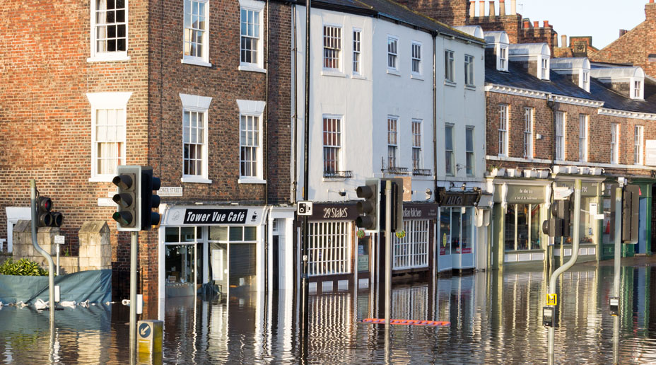 useful description of image if informative and not decoration only.