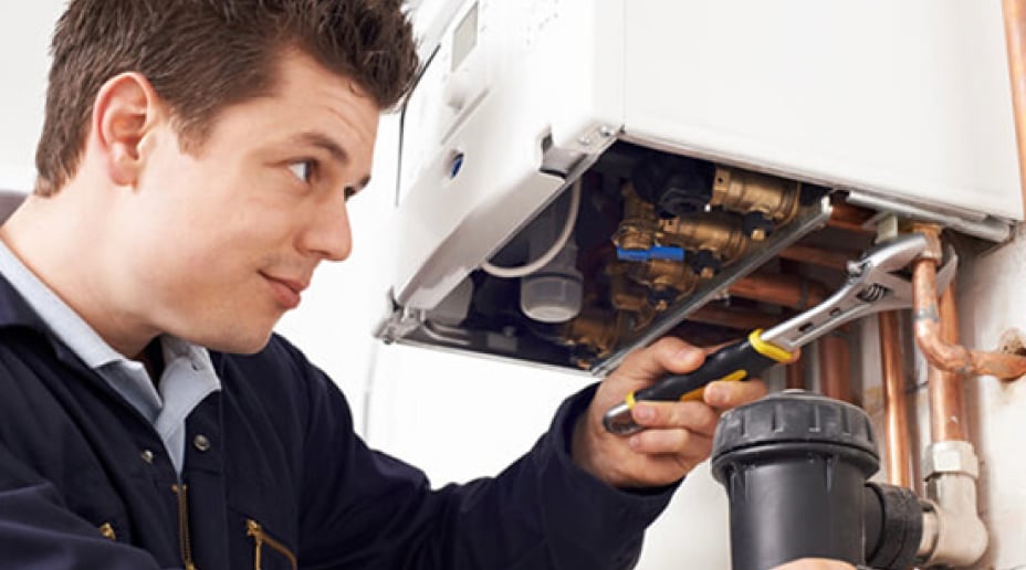 useful description of image if informative and not decoration only.