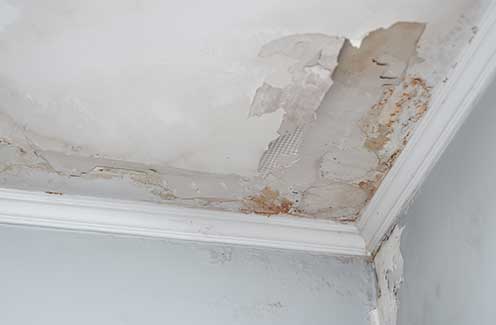 useful description of image if informative and not decoration only.