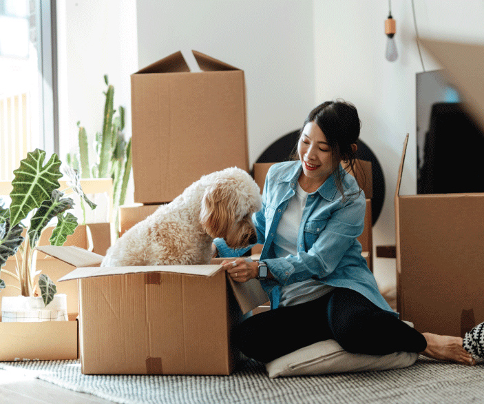 useful description of image if informative and not decoration only.