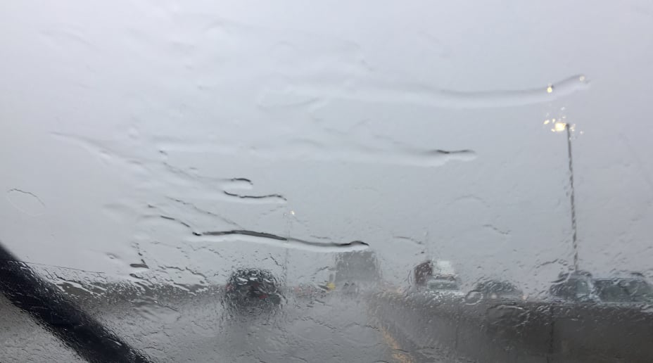 useful description of image if informative and not decoration only.