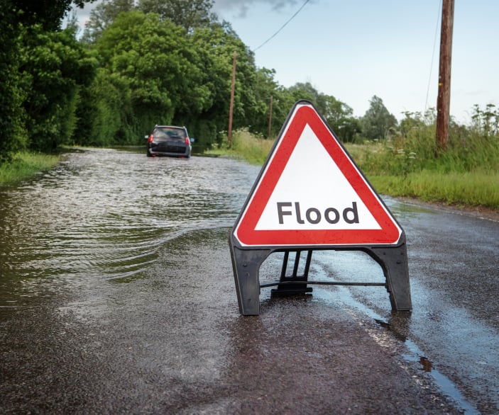 useful description of image if informative and not decoration only.