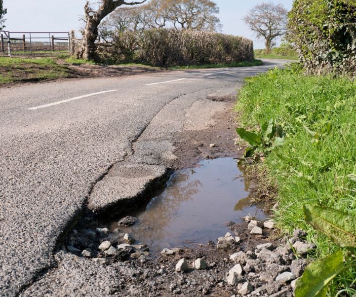 useful description of image if informative and not decoration only.