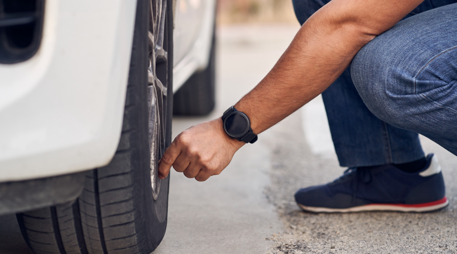 useful description of image if informative and not decoration only.