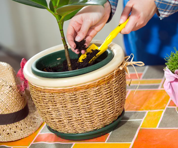 useful description of image if informative and not decoration only.