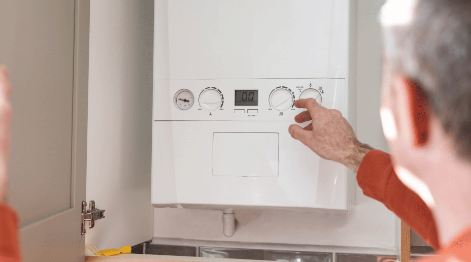 useful description of image if informative and not decoration only.