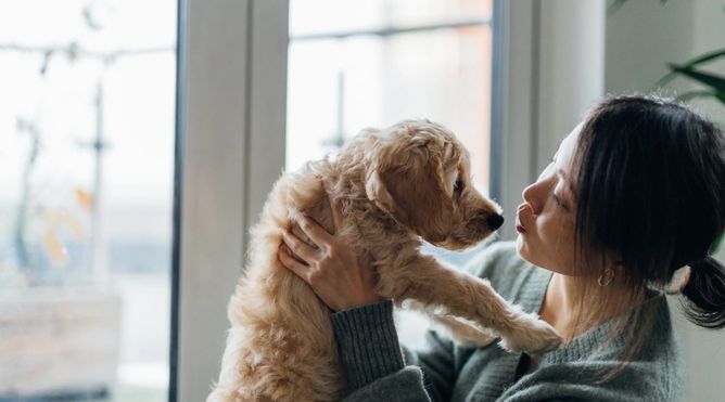 useful description of image if informative and not decoration only.