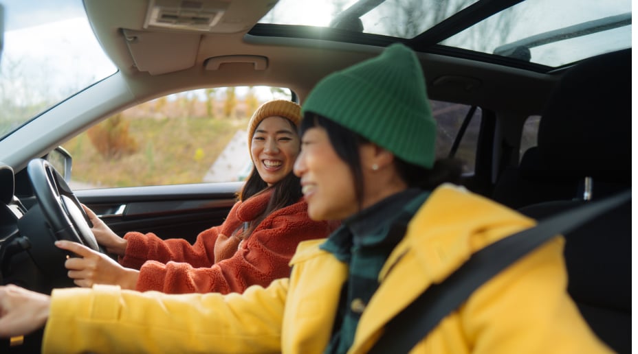 useful description of image if informative and not decoration only.