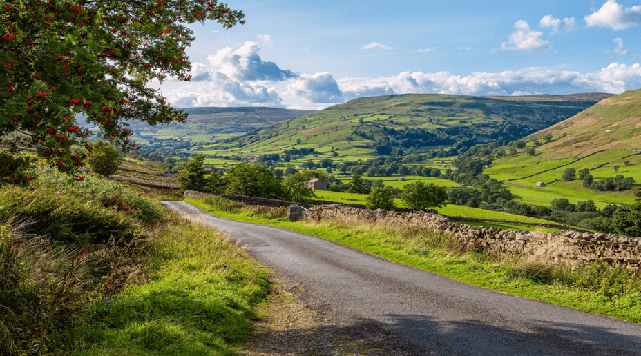 Country road