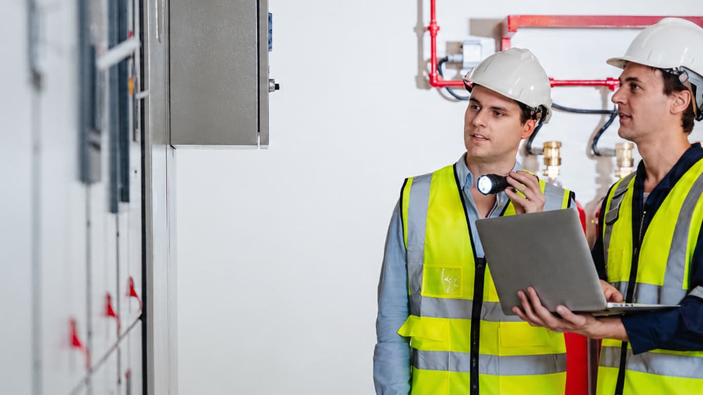 Inspection by two individuals