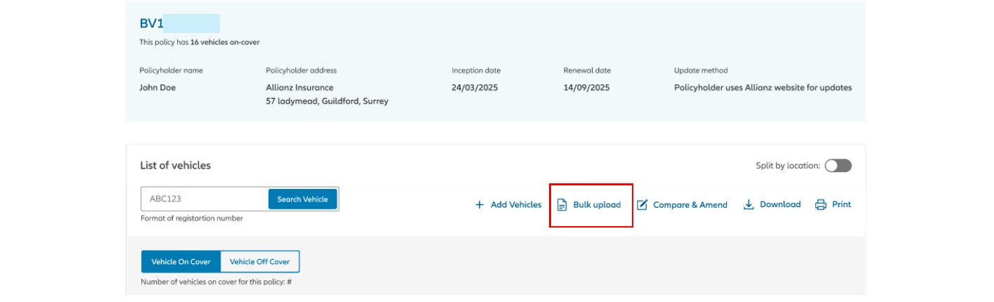 bulk upload