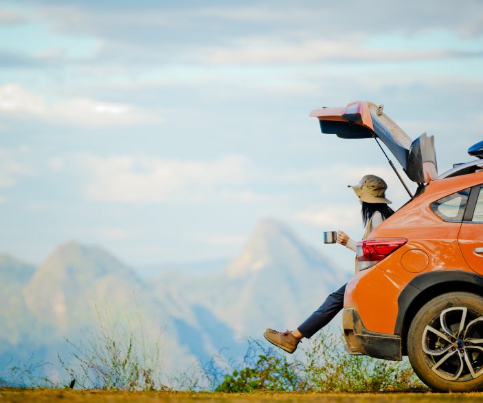 useful description of image if informative and not decoration only.