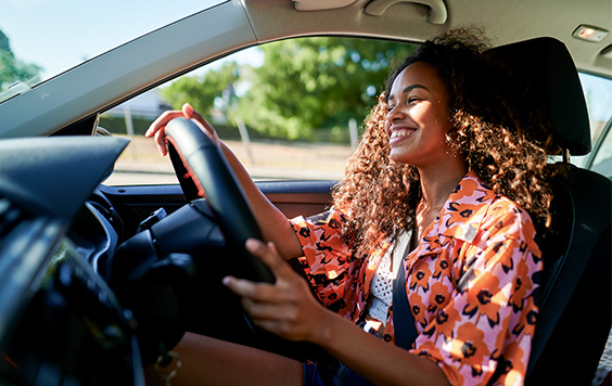 useful description of image if informative and not decoration only.